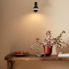 Anglepoise Type 80 W2 Wall Light