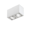 DLS Lighting Light Box 2 Spot Light, white