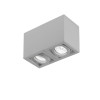 DLS Lighting Light Box 2 Spot Light, grey