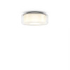 Serien Lighting Curling Ceiling S D2W, glass clear, reflector cylindrical