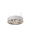 LZF Lamps Spiro Medium Suspension, grau / weiß matt