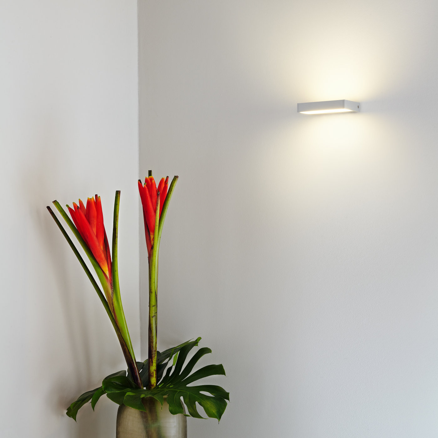 ENVELOPE_1 - Recessed wall lights from Linea Light Group