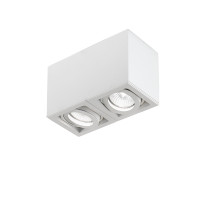 DLS Lighting Light Box 2 Spot