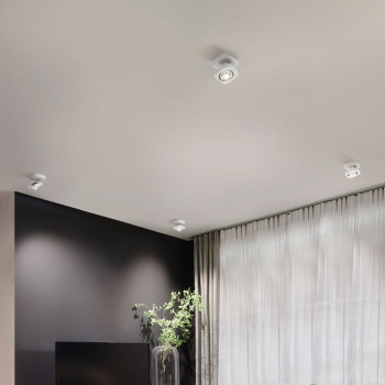 Oligo Kelveen Wall/Ceiling Light application example