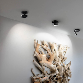 Lodes Nautilus Ceiling application example